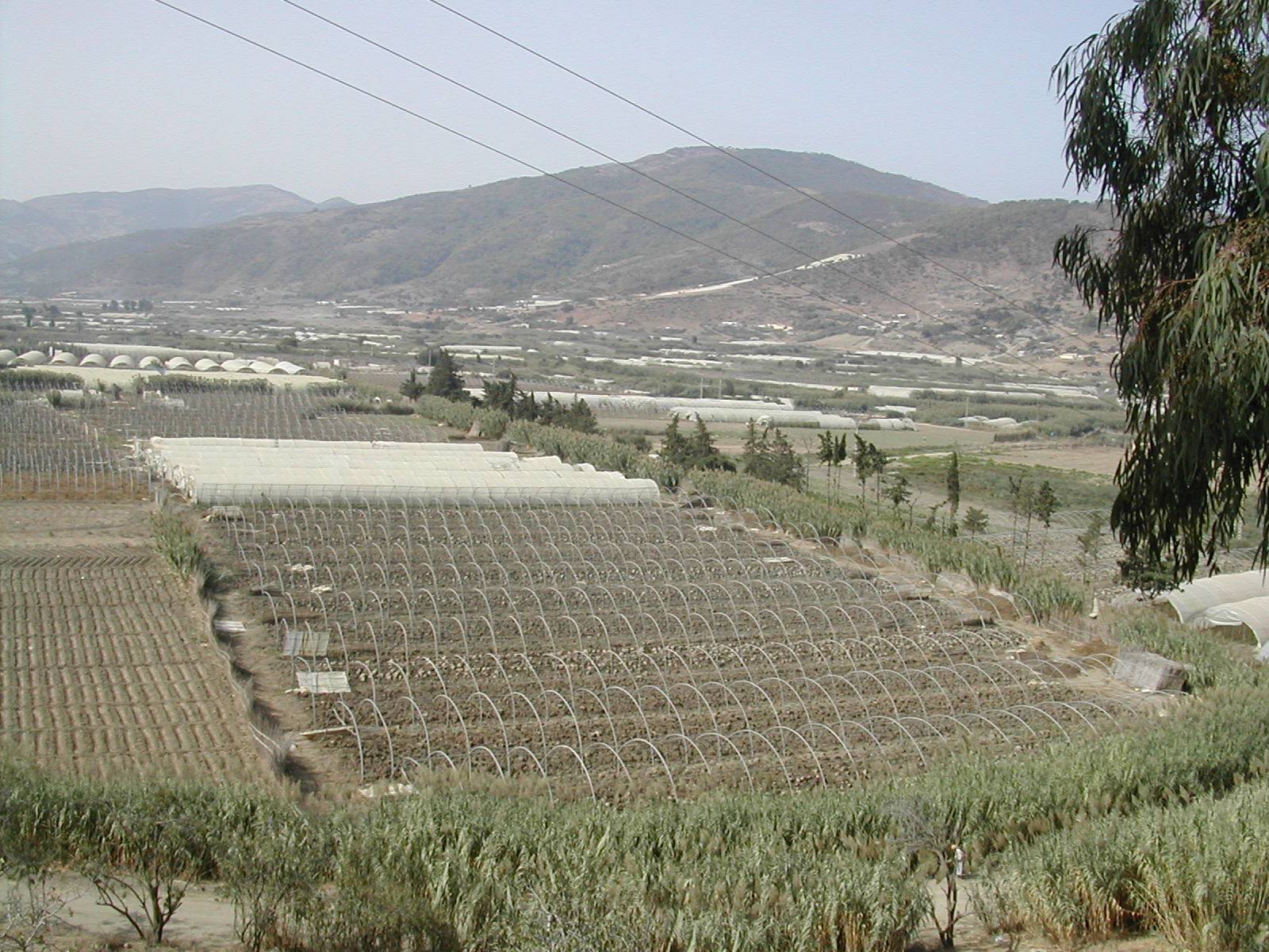 Les cultures sous-serres